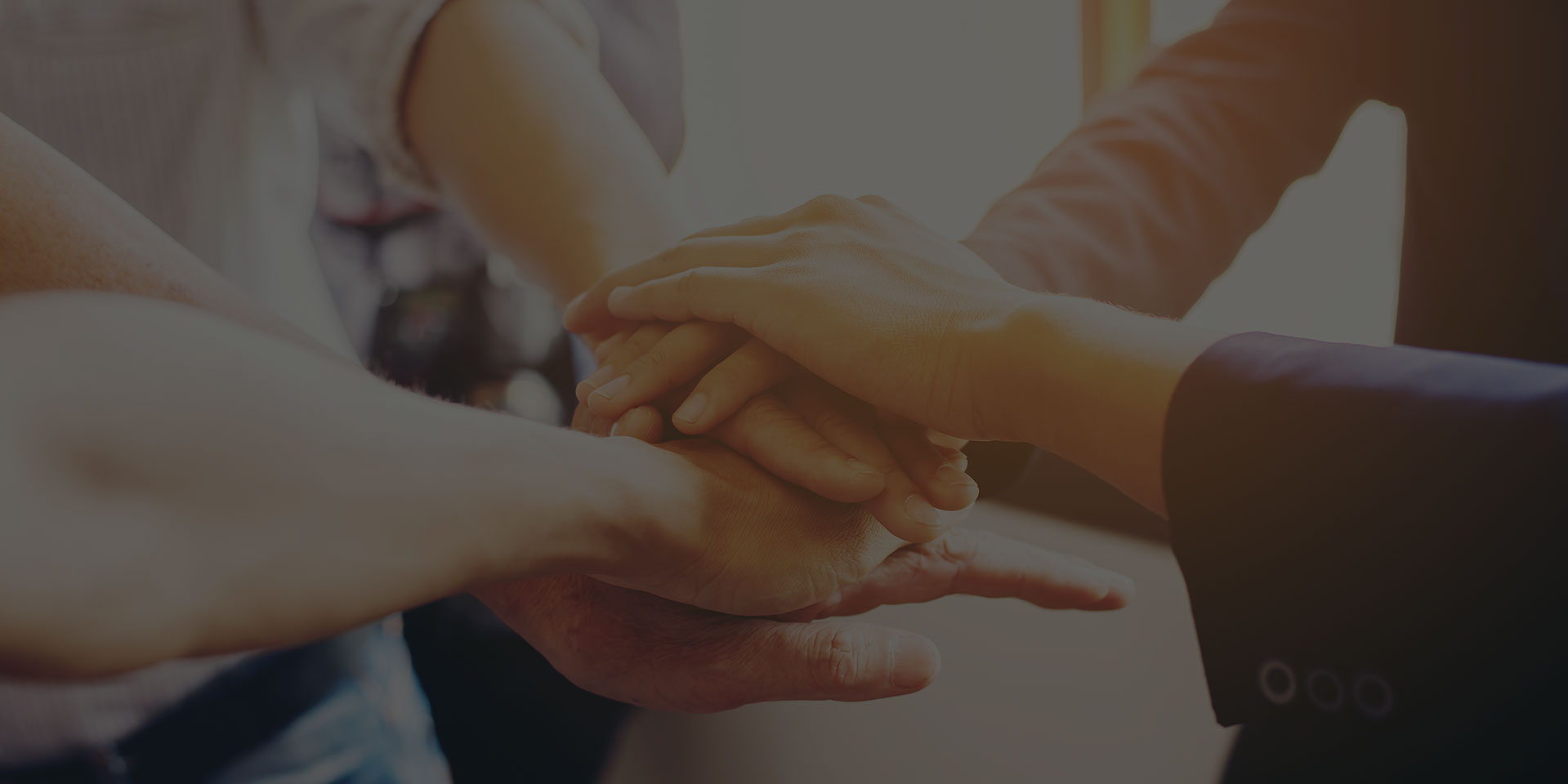 �ڲ�����Ϸ������(�й�)רҵ����,����Ϊ��