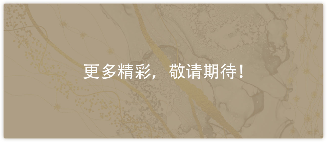 �ڲ�����Ϸ������(�й�)רҵ����,����Ϊ��