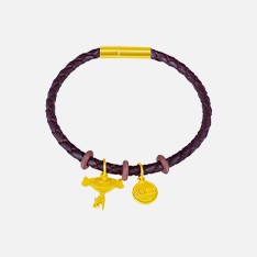 �ڲ�����Ϸ������(�й�)רҵ����,����Ϊ��