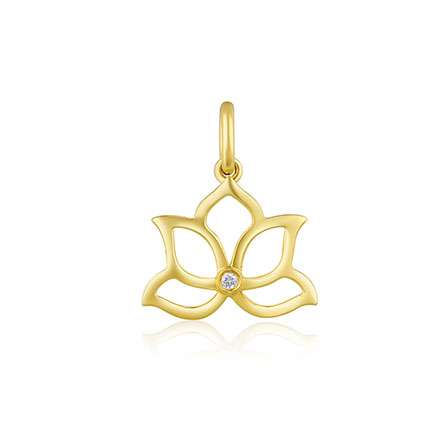 �ڲ�����Ϸ������(�й�)רҵ����,����Ϊ��