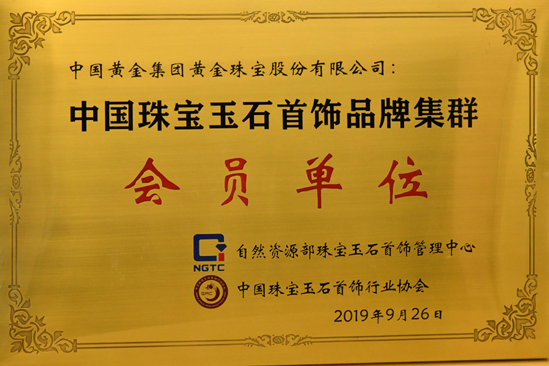 �ڲ�����Ϸ������(�й�)רҵ����,����Ϊ��