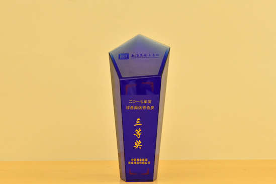 �ڲ�����Ϸ������(�й�)רҵ����,����Ϊ��