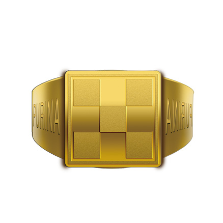 �ڲ�����Ϸ������(�й�)רҵ����,����Ϊ��