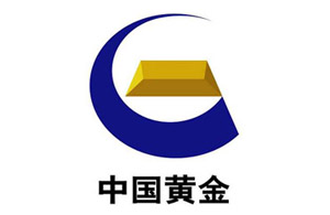 �ڲ�����Ϸ������(�й�)רҵ����,����Ϊ��