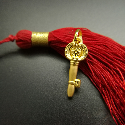 �ڲ�����Ϸ������(�й�)רҵ����,����Ϊ��