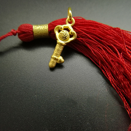 �ڲ�����Ϸ������(�й�)רҵ����,����Ϊ��