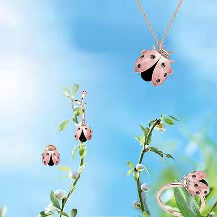 �ڲ�����Ϸ������(�й�)רҵ����,����Ϊ��