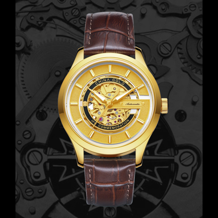 �ڲ�����Ϸ������(�й�)רҵ����,����Ϊ��