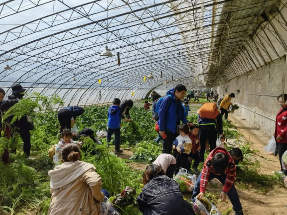 327f39e5190d4c3d83c80cc198da9034