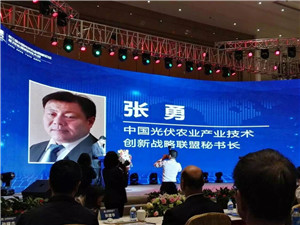 第三届中国光伏农业岑岭论坛
